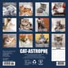 image Cat Astrophe 2026 Mini Wall Calendar First Alternate Image