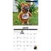 image Doug the Pug 2025 Mini Wall Calendar January