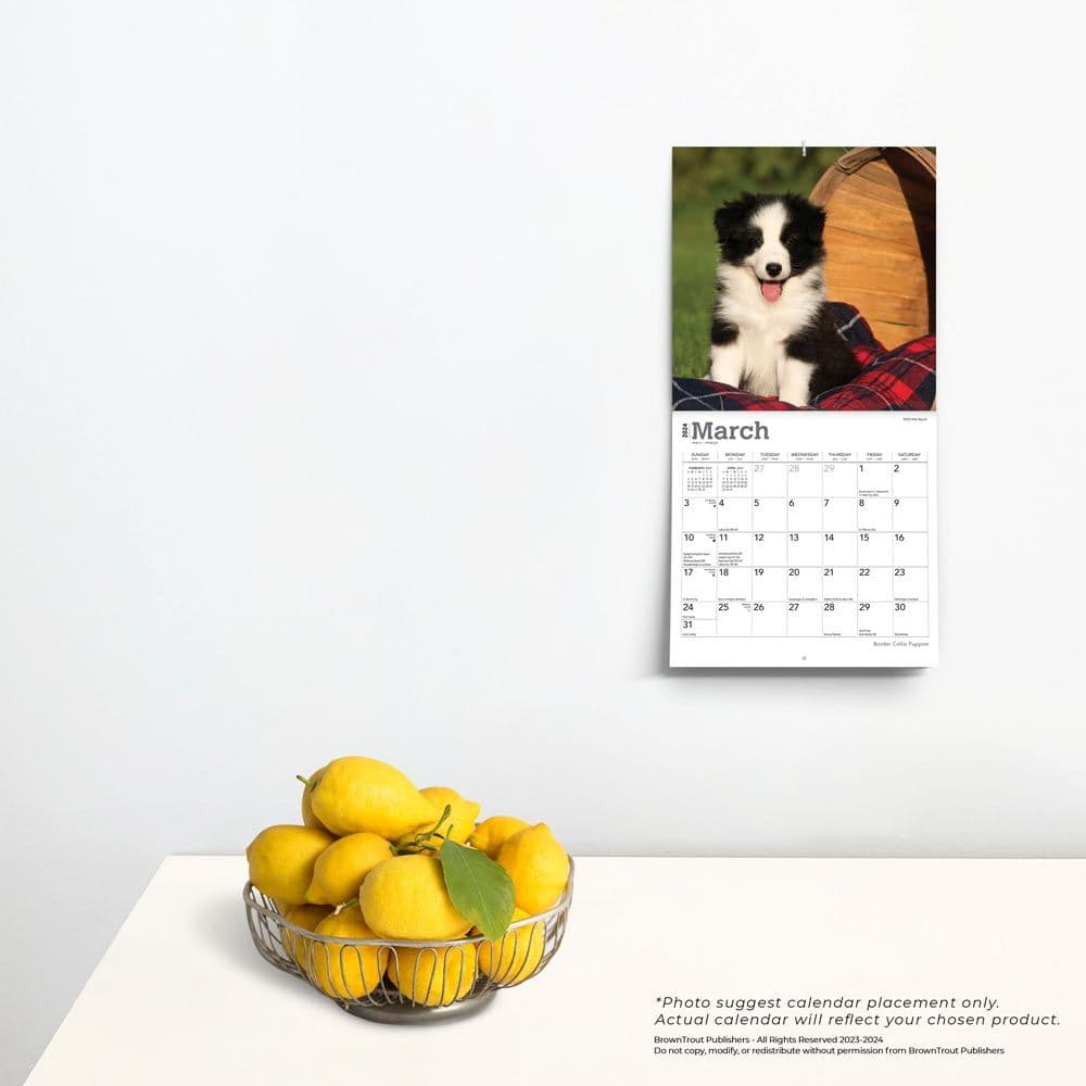 Border Collie Puppies 2024 Mini Wall Calendar Third Alternate Image width=&quot;1000&quot; height=&quot;1000&quot;