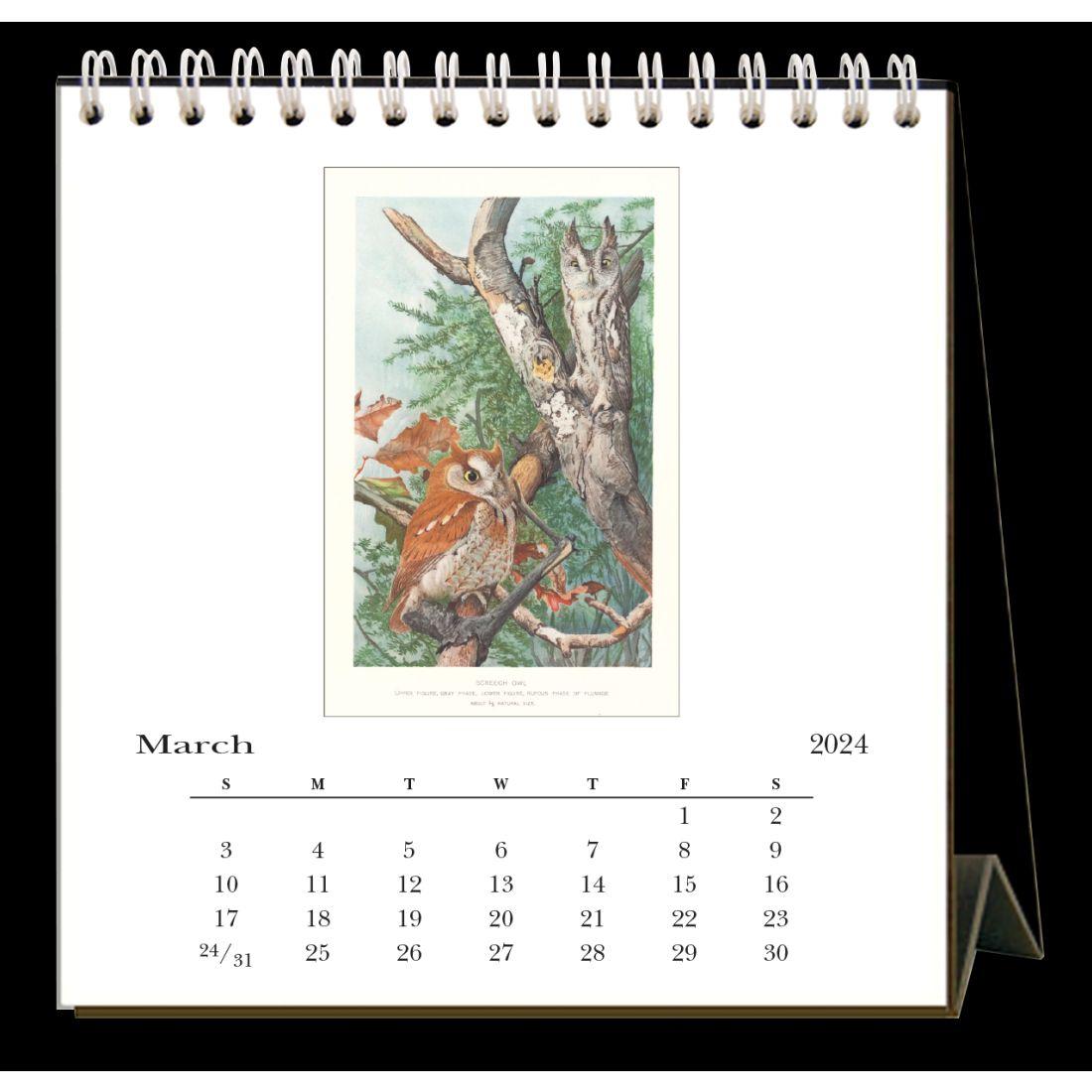 Owls 2024 Easel Desk Calendar