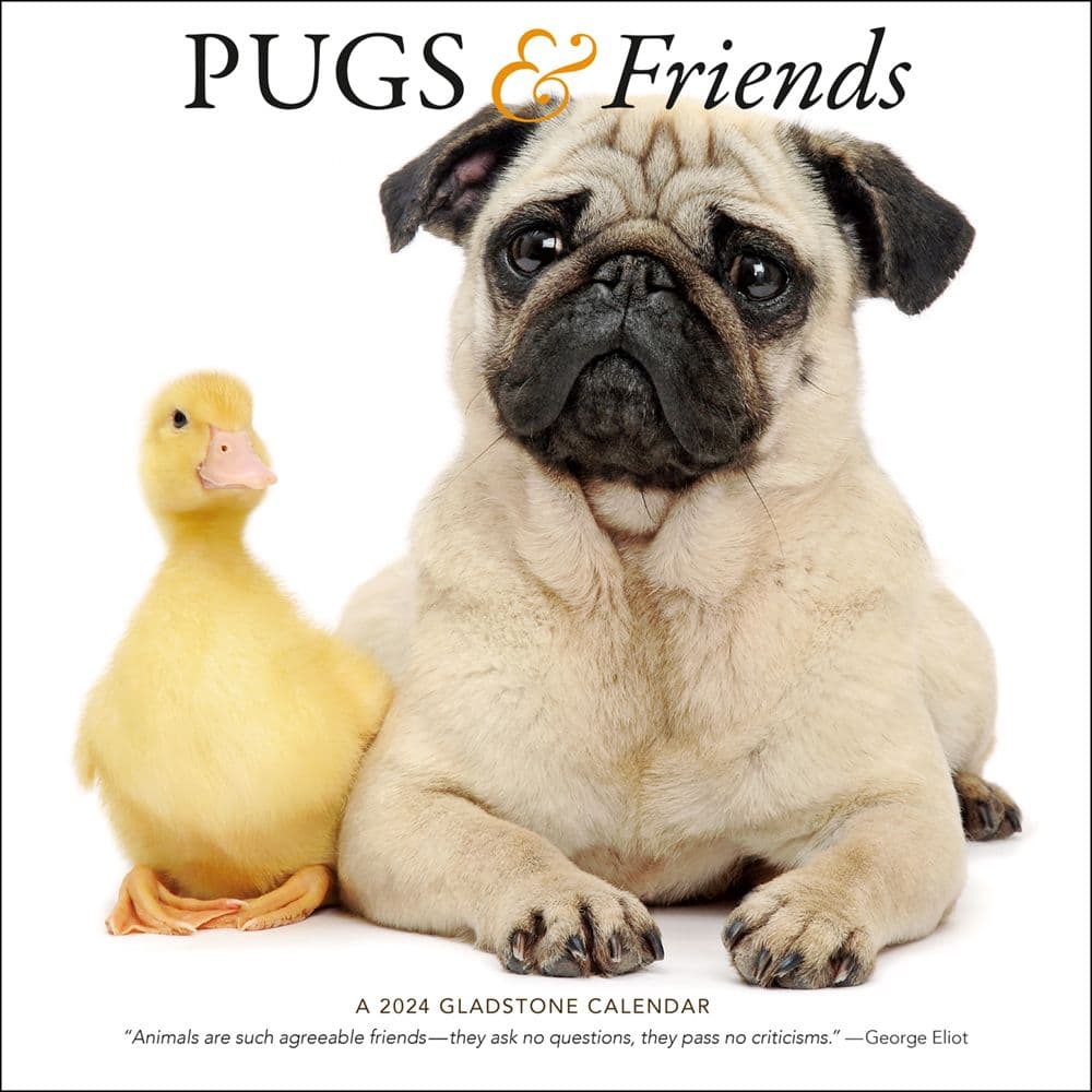 Pugs Friends 2024 Wall Calendar Calendars Com   0e9decc6 316e 4849 B977 9eb86321a98d