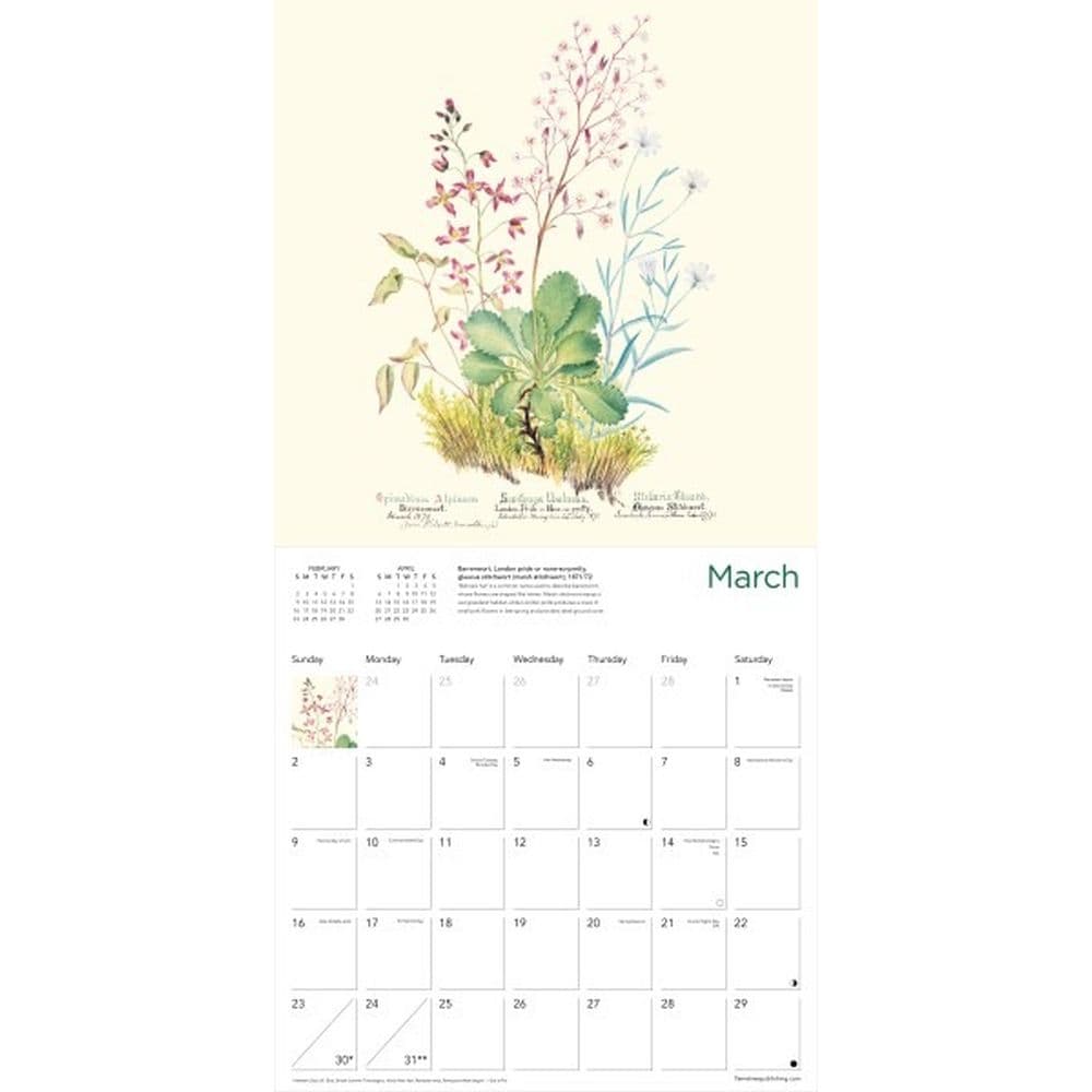 Royal Botanic Gardens Edinburgh 2025 Wall Calendar Second Alternate Image