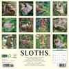 image Sloths 2025 Wall Calendar