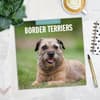 image Border Terriers 2025 Wall Calendar Alt3