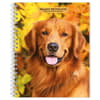 image Golden Retrievers 2025 Engagement Planner Main Image