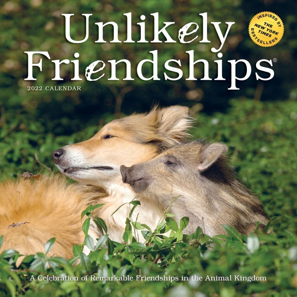 Unlikely Friendships 2022 Wall Calendar