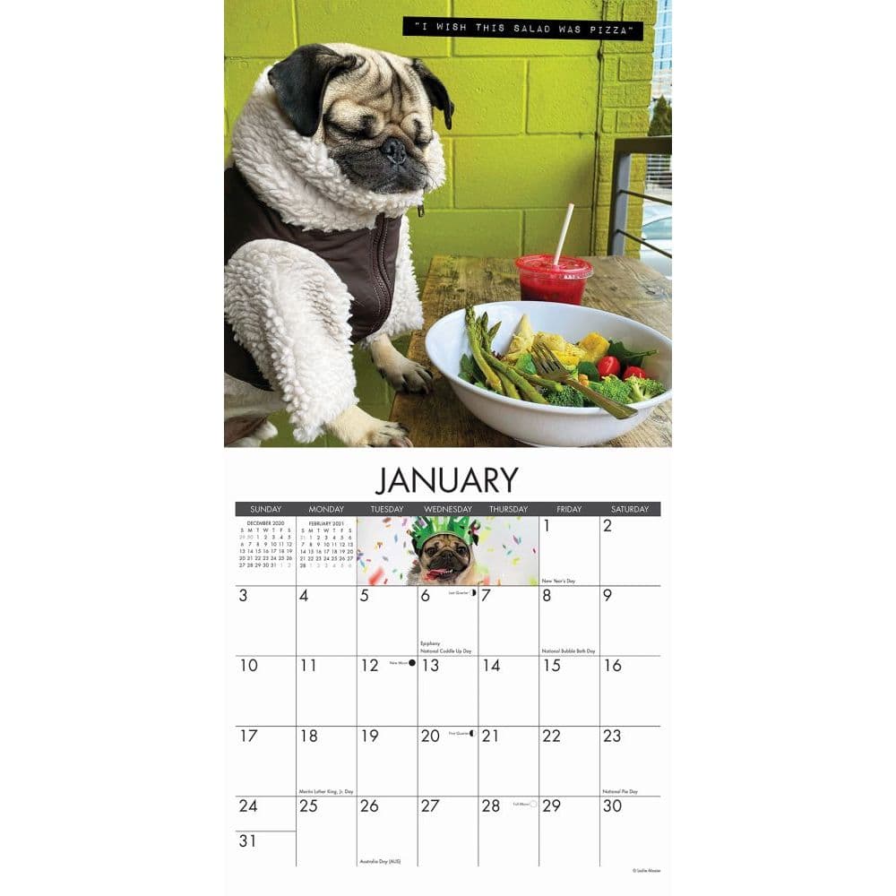 Doug the Pug Wall Calendar