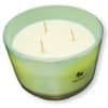 image Beautiful Oasis 16oz Footed Dish Candle Third Alternate Image width=&quot;1000&quot; height=&quot;1000&quot;
