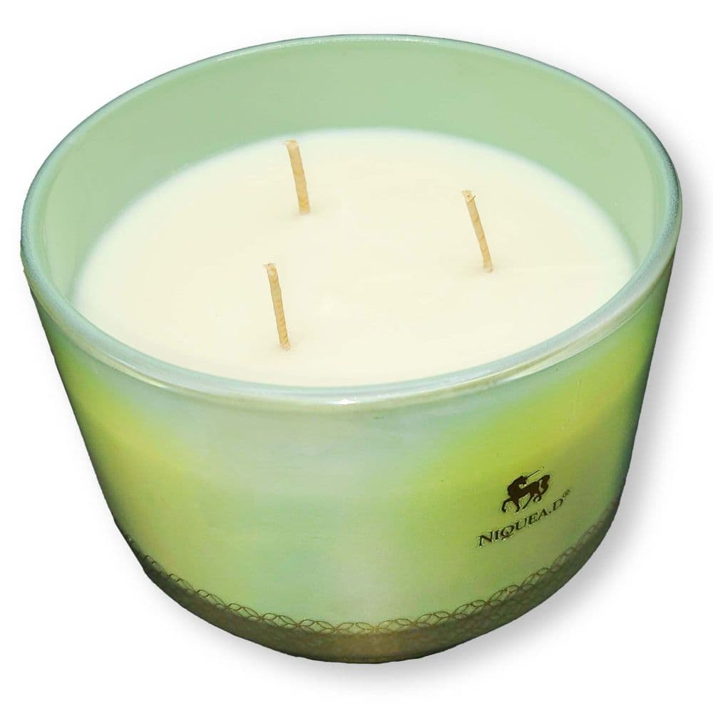 Beautiful Oasis 16oz Footed Dish Candle Third Alternate Image width=&quot;1000&quot; height=&quot;1000&quot;