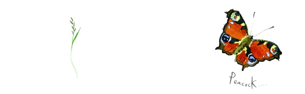 Madeleine Floyd Peacock 9 oz. Fine China Mug Alternate Image 1