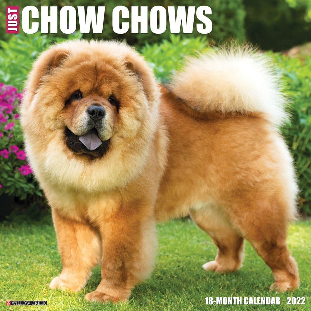 Chow Chows 2022 Wall Calendar
