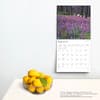 image Yosemite 2025 Wall Calendar Fourth Alternate Image width=&quot;1000&quot; height=&quot;1000&quot;