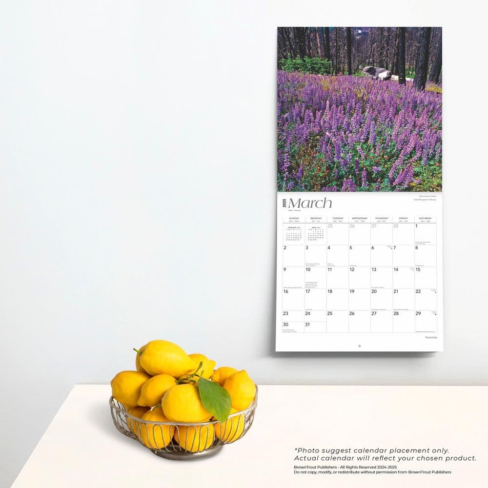 Yosemite 2025 Wall Calendar Fourth Alternate Image width=&quot;1000&quot; height=&quot;1000&quot;