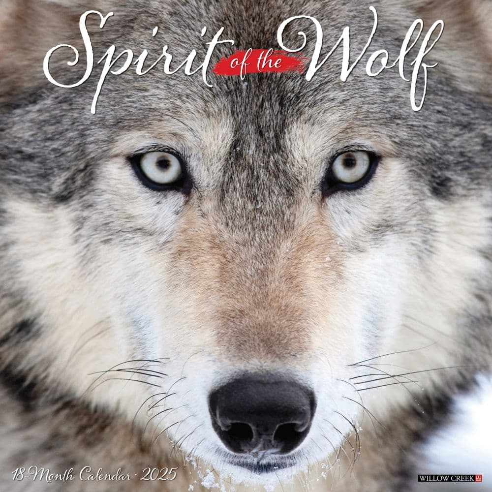image Wolves 2025 Wall Calendar  Main Image