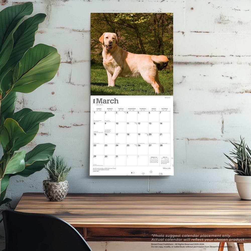 Yellow Lab Retriever 2026 Wall Calendar Fourth Alternate Image