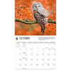 image Owls WWF 2026 Wall Calendar Fourth Alternate Image