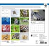 image Baby Animals WWF 2025 Wall Calendar First Alternate Image width="1000" height="1000"