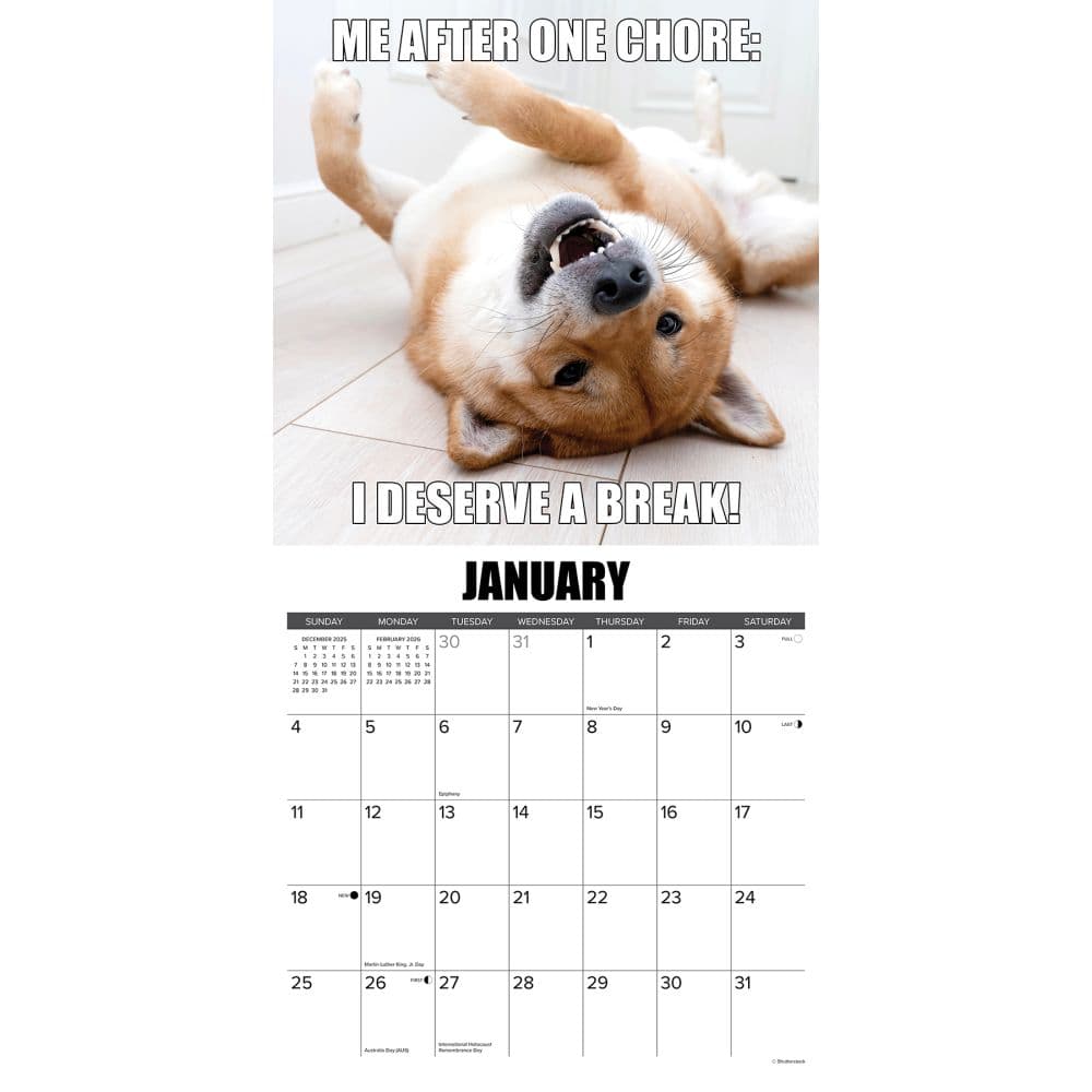 Dog Gone It 2026 Wall Calendar Second Alternate Image