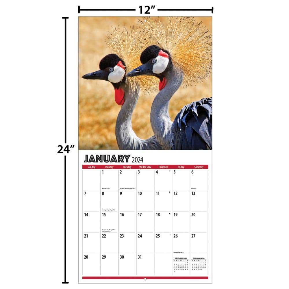 African Safari 2024 Wall Calendar Alternate Image 4