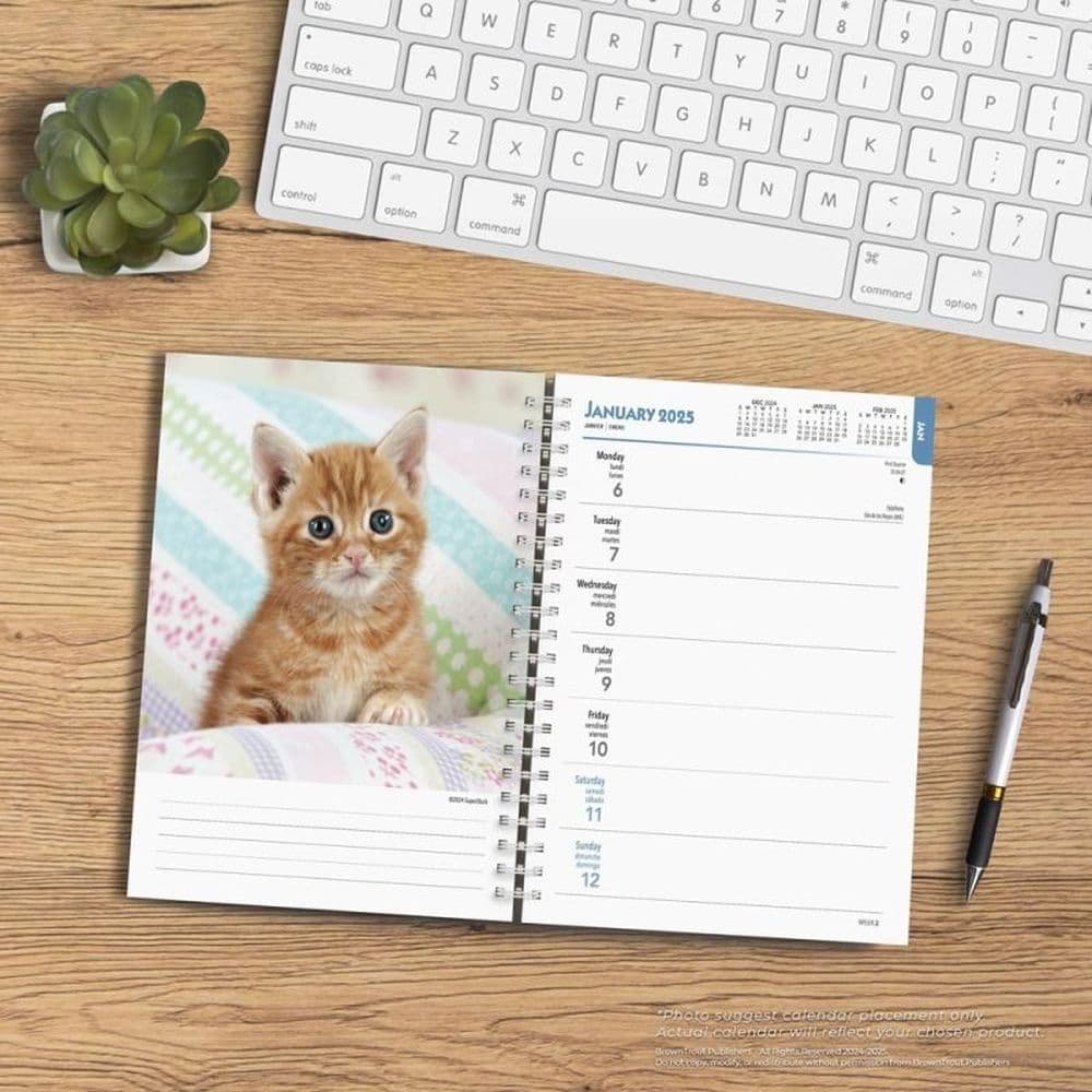 Kittens 2025 Engagement Planner Fourth Alternate Image