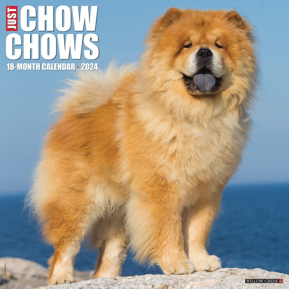 Chow Chows 2024 Wall Calendar