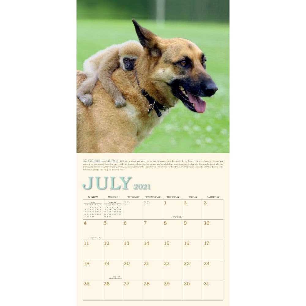 Unlikely Friendships Wall Calendar