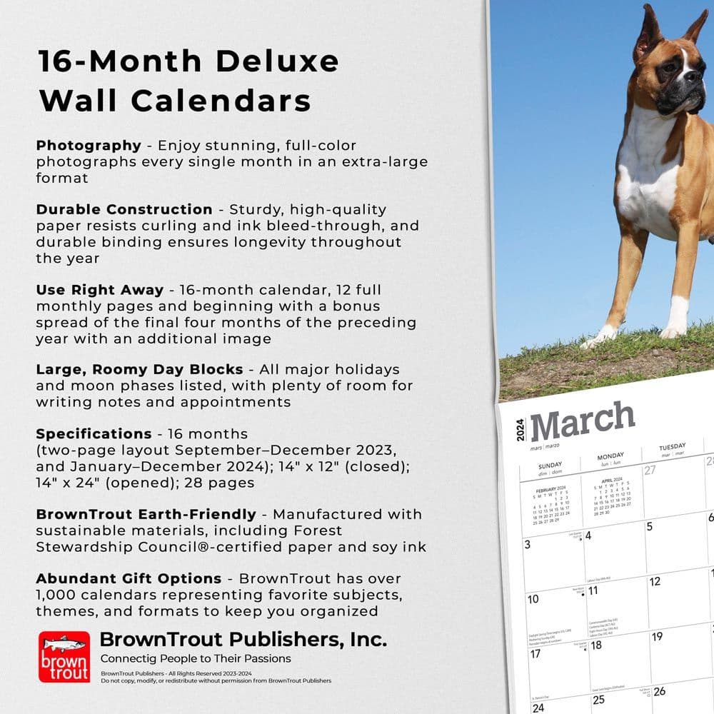 Boxers Deluxe Wall 2024 Desk Calendar Fourth Alternate Image width=&quot;1000&quot; height=&quot;1000&quot;