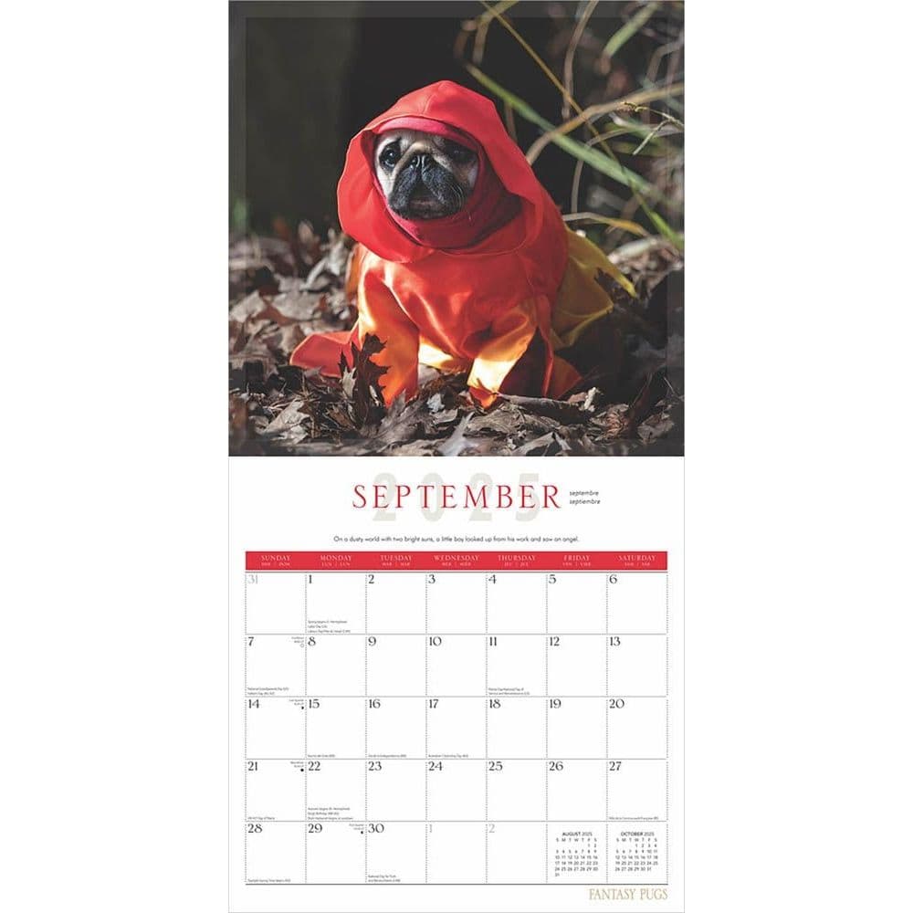 Fantasy Pugs 2025 Wall Calendar Third Alternate Image