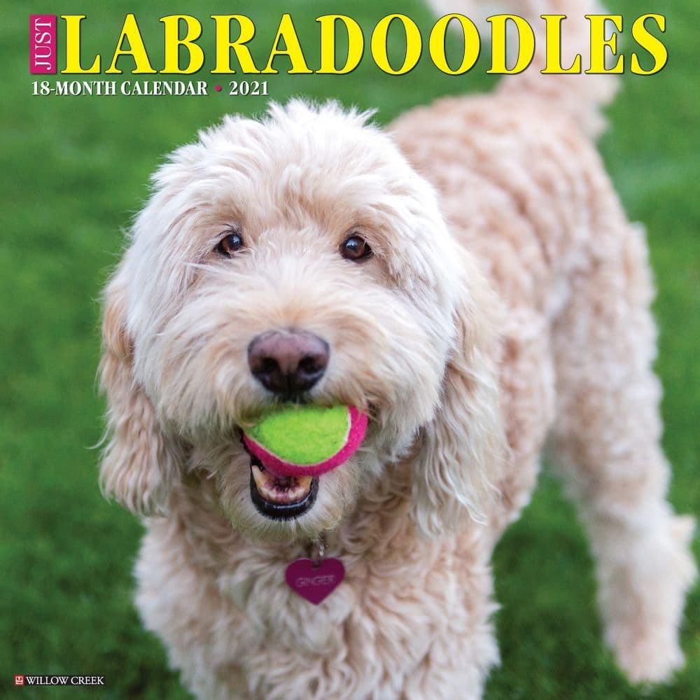 Just Labradoodles Wall Calendar
