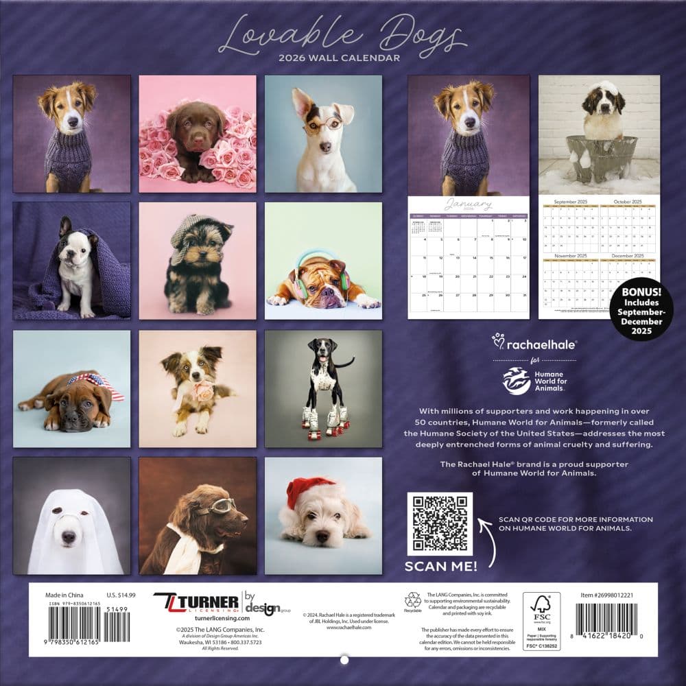 Rachael Hale Loveable Dogs 2026 Wall Calendar First Alternate Image