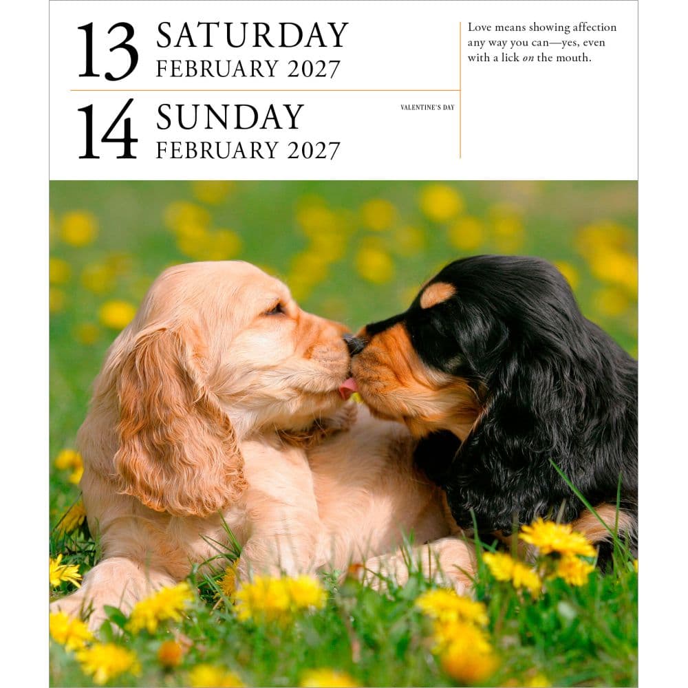 Dog Page-A-Day Gallery Calendar Refill Pack Second Alternate Image