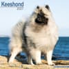 image Keeshond 2027 Wall Calendar Main Product Image