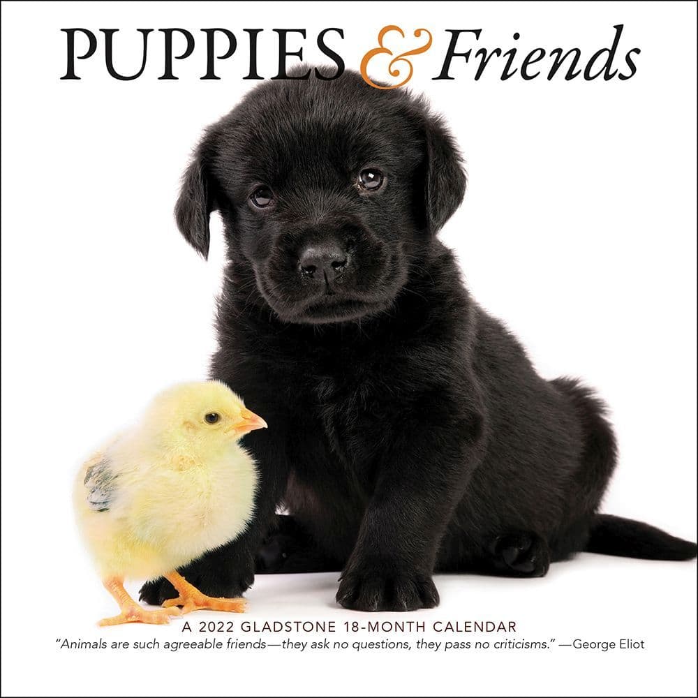 Puppies And Friends 2022 Mini Wall Calendar