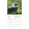 image Audubon Eagles 2026 Mini Wall Calendar Third Alternate Image