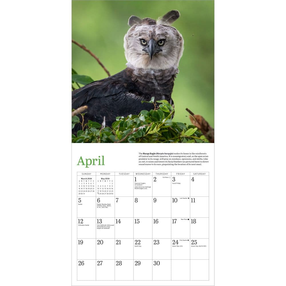 Audubon Eagles 2026 Mini Wall Calendar Third Alternate Image