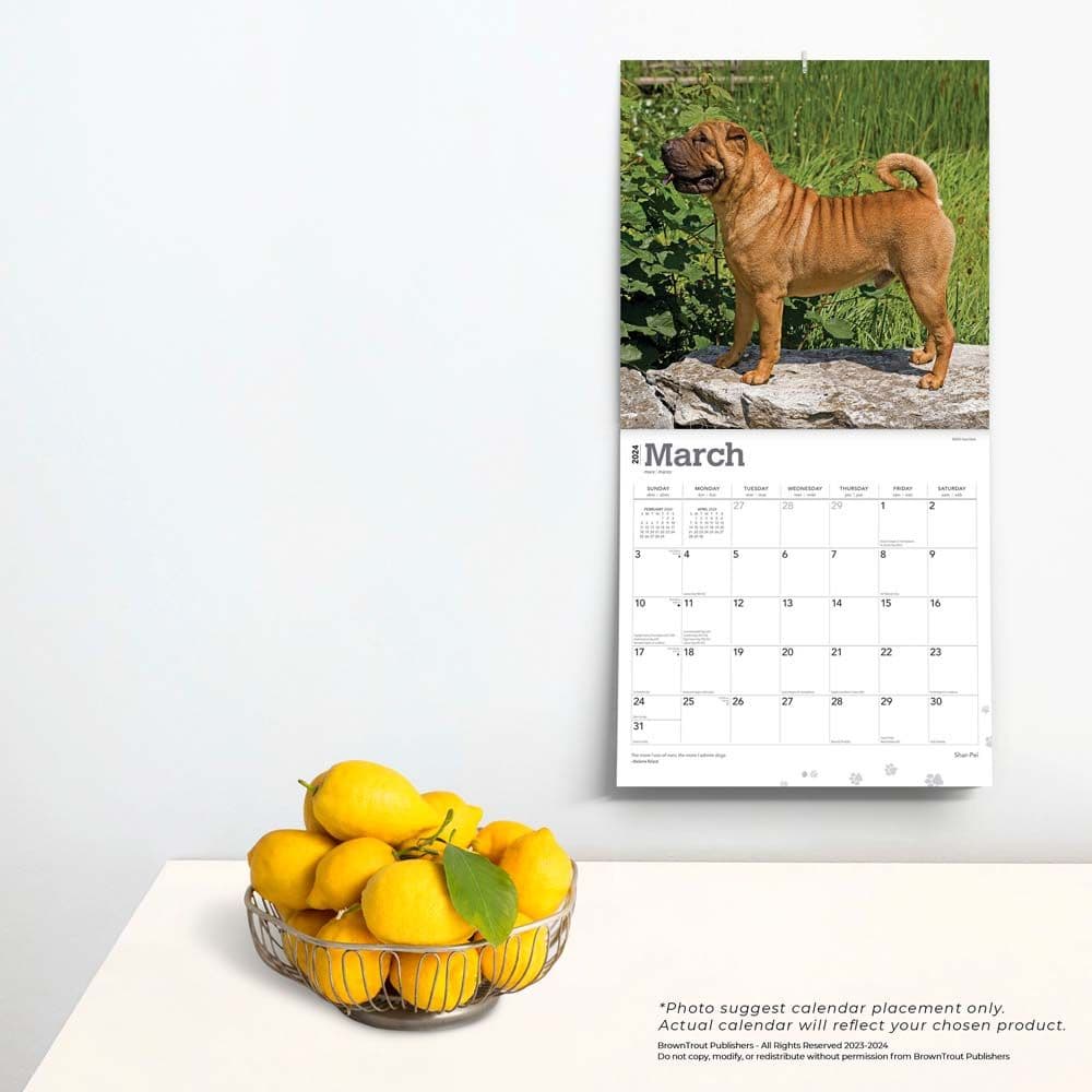 SharPei 2024 Wall Calendar