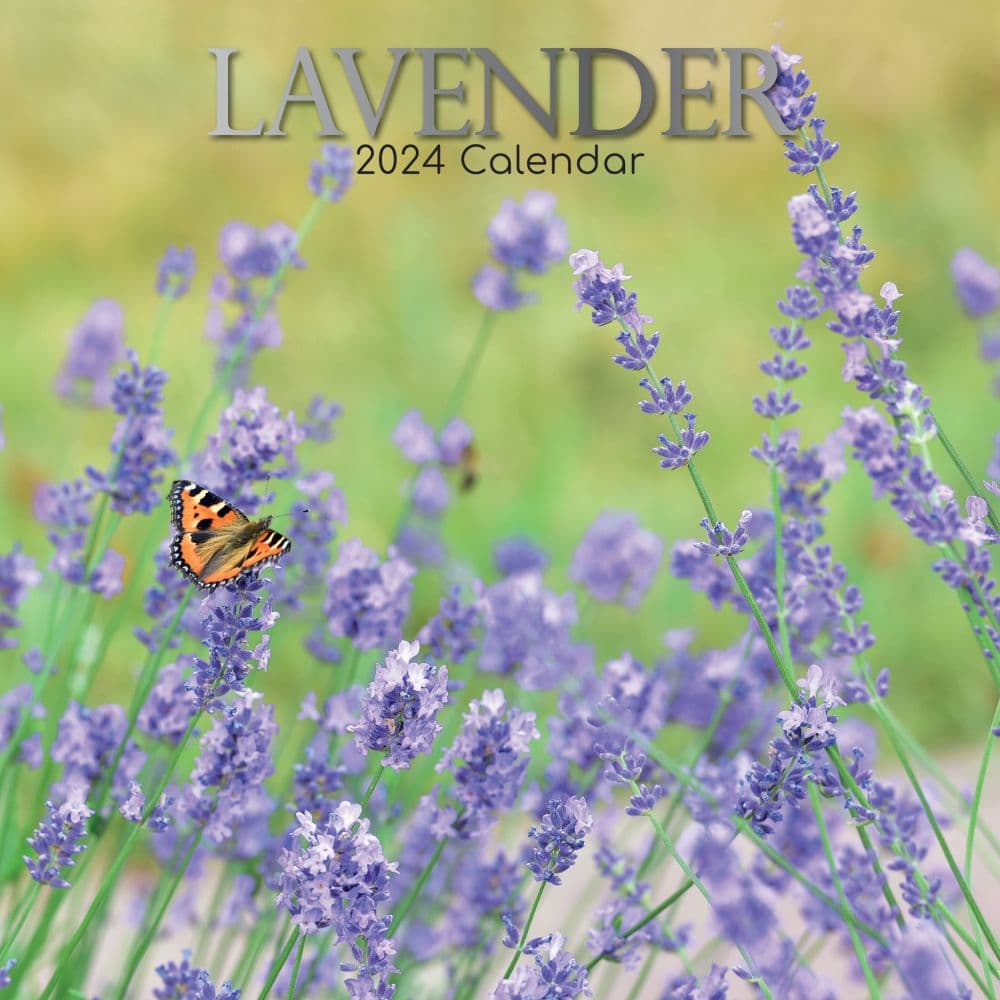 Lavender 2024 Wall Calendar Calendars Com   0f88cf1d 7065 4ce6 A5df 124add1f201e