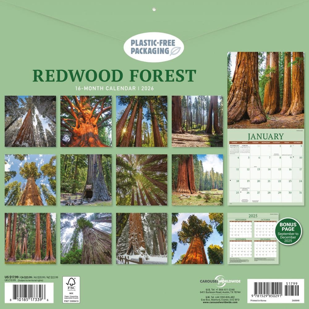 Redwood Forest 2026 Wall Calendar First Alternate Image