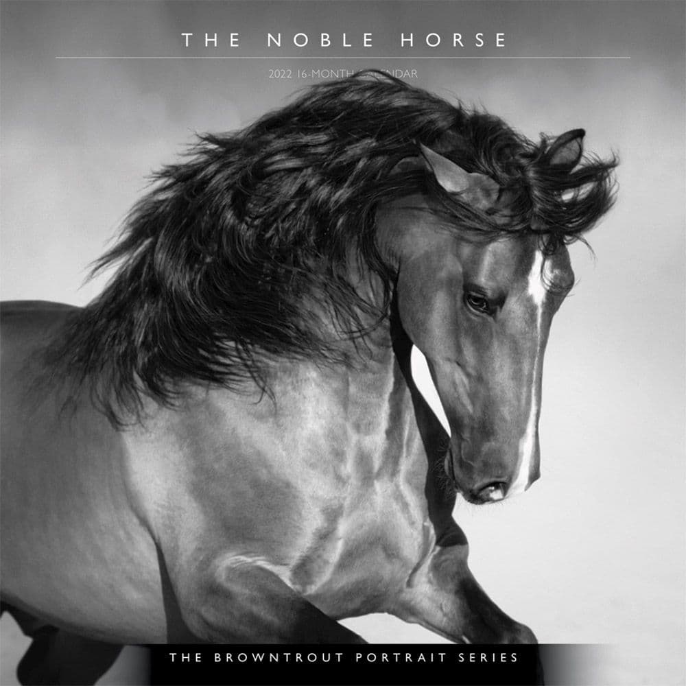 The Noble Horse Portrait Series 2022 Wall Calendar