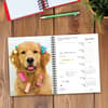 image What Goldens Teach Us 2025 Engagement Planner Alt2