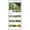 image Audubon 365 Songbirds 2026 Wall Calendar Fourth Alternate Image