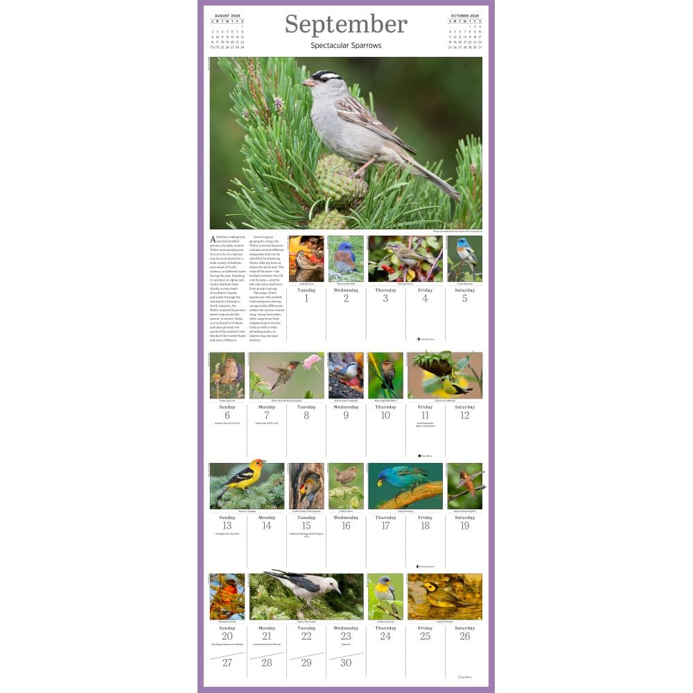 Audubon 365 Songbirds 2026 Wall Calendar Fourth Alternate Image