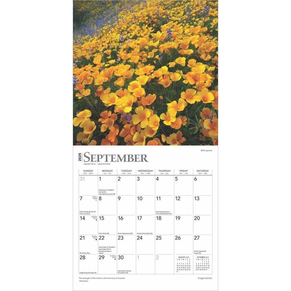 Inspiration 2025 Mini Wall Calendar Third Alternate Image