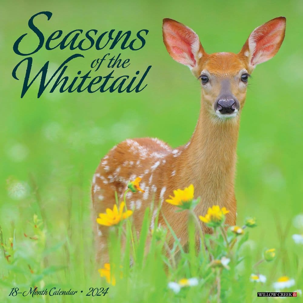 Deer Whitetail Seasons 2024 Wall Calendar