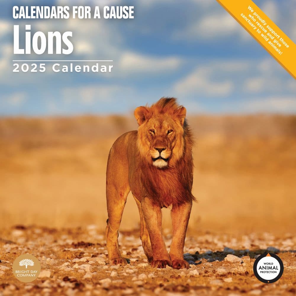 Lions 2025 Wall Calendar Main Image