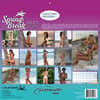 image Spring Break 2027 Wall Calendar First Alternate Image