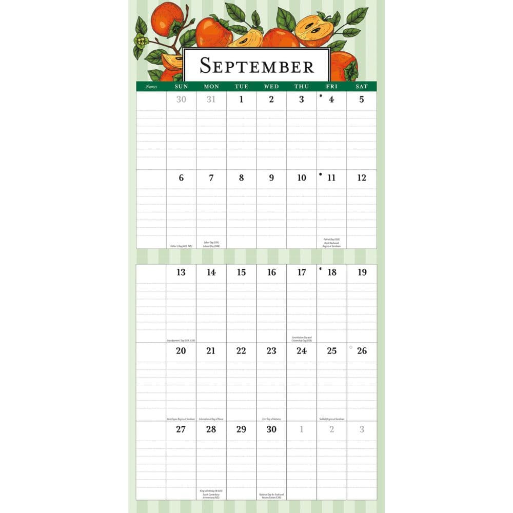 Moms Planner Special Value 2026 Big Grid Wall Calendar Third Alternate Image
