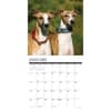 image Whippets 2025 Wall Calendar