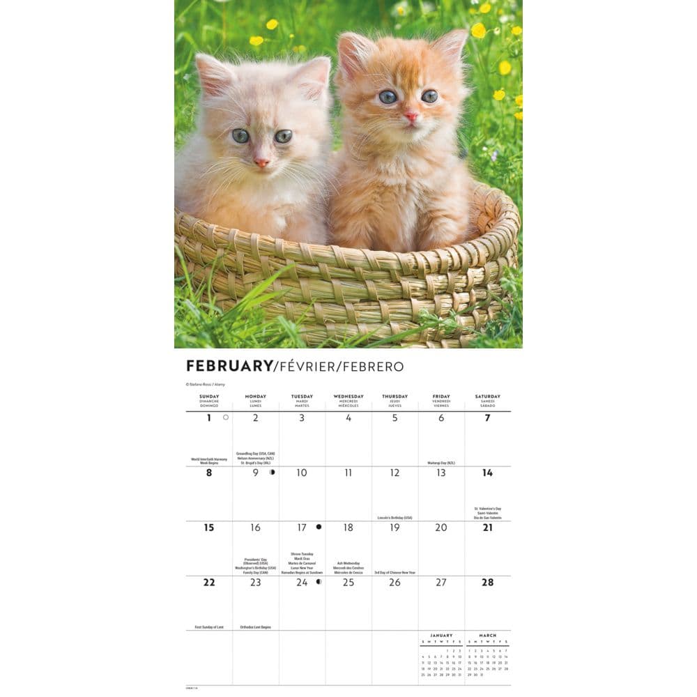 Love of Kittens 2026 Mini Wall Calendar Second Alternate Image