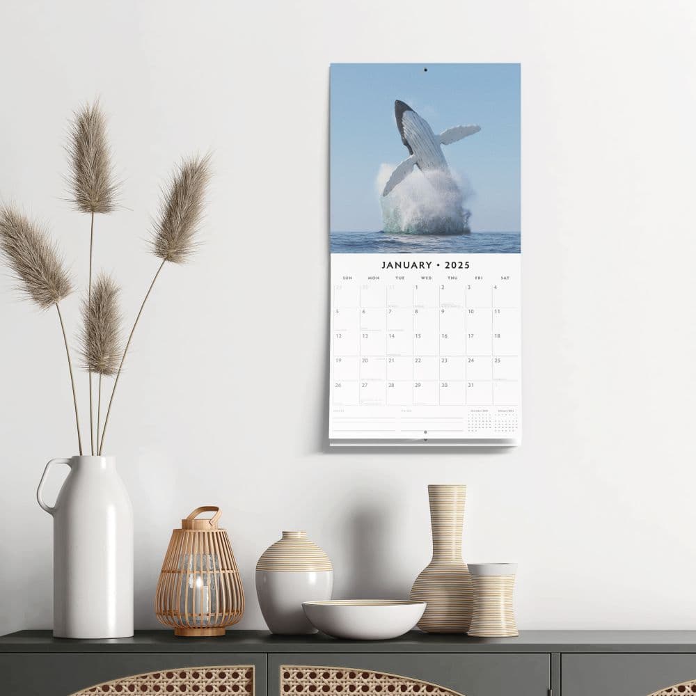 Whales 2025 Wall Calendar Alt5